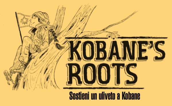 Progetto Kobane Roots: cosa sta succedendo in Rojava?
