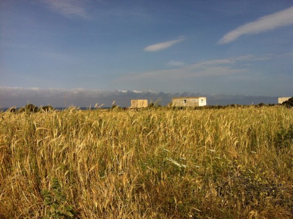 Tunisia – Da Cap Bon a Tabarka con MaTerre